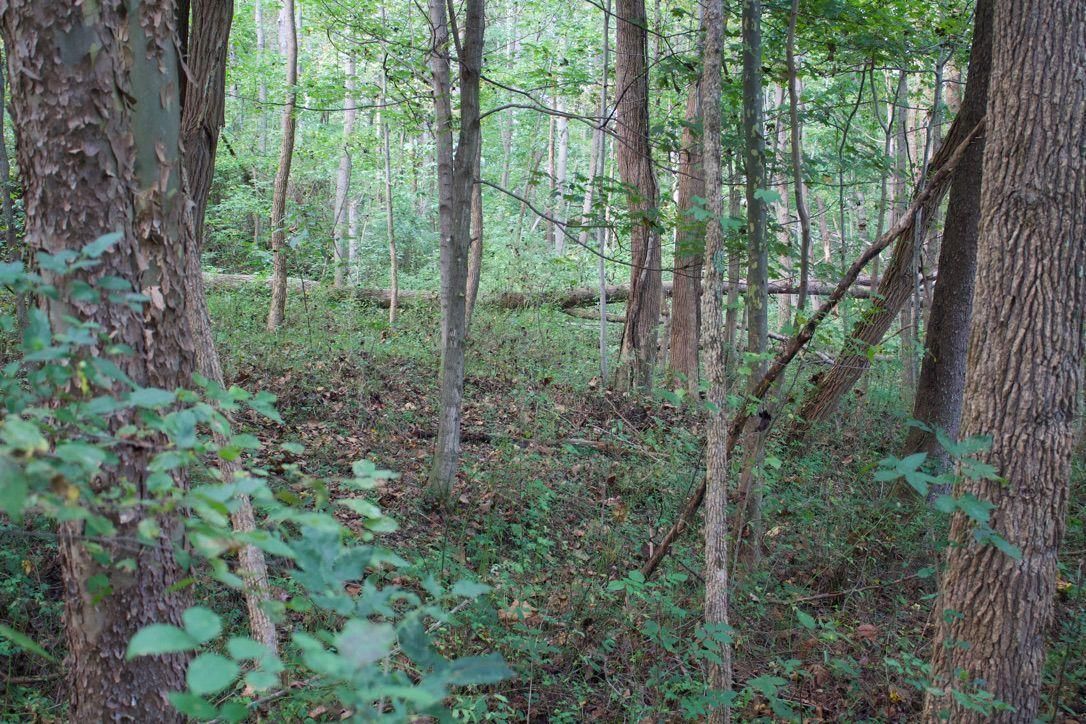 Pomeroy, Meigs County, OH Recreational Property, Timberland Property