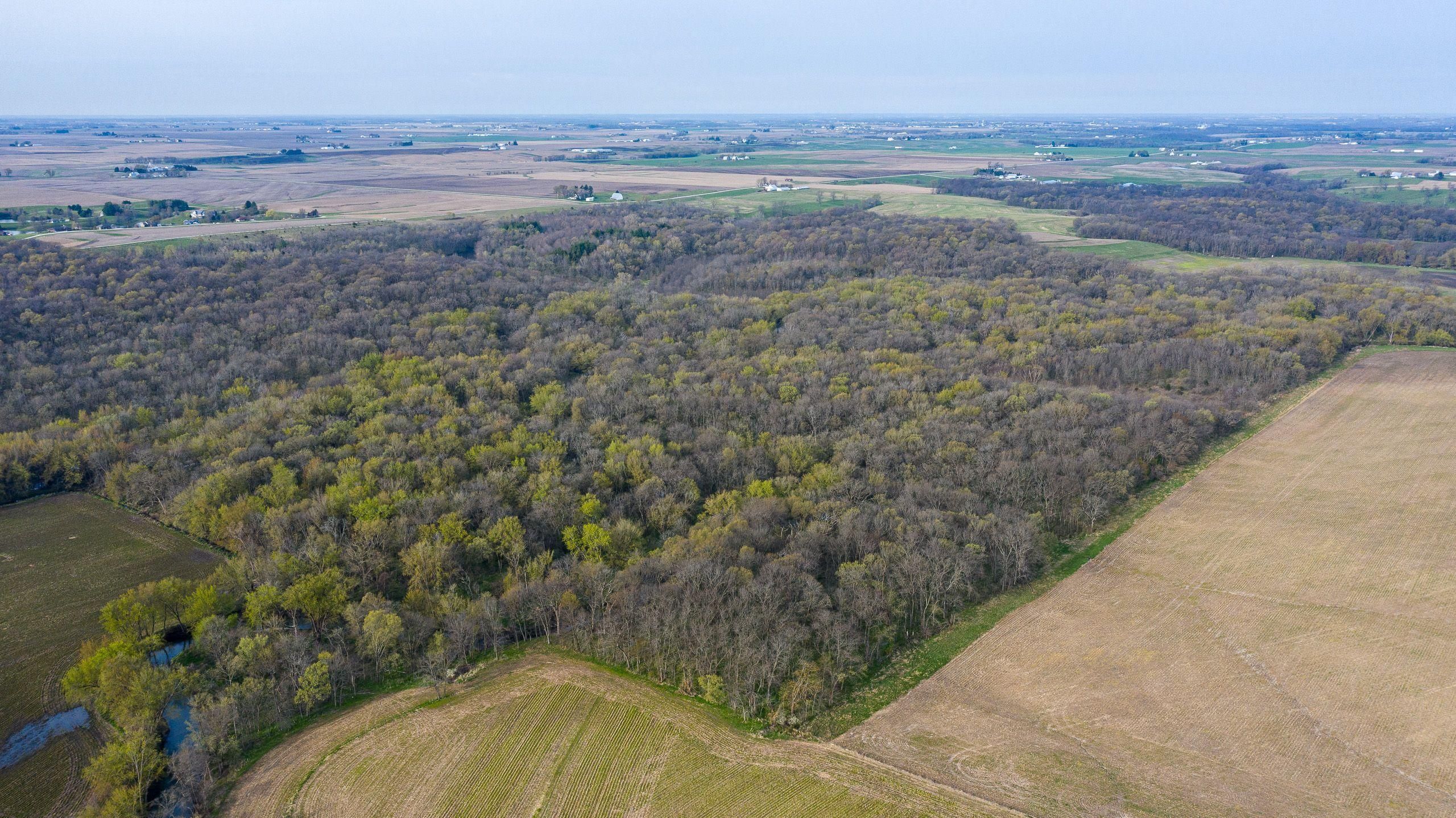 Crawfordsville, Washington County, IA Recreational Property, Timberland