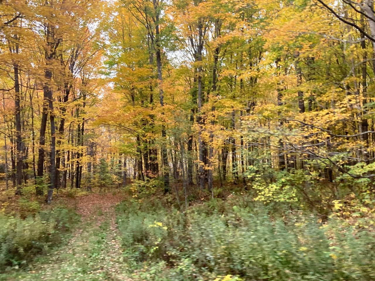 Armstrong Creek, Forest County, WI Undeveloped Land for sale Property