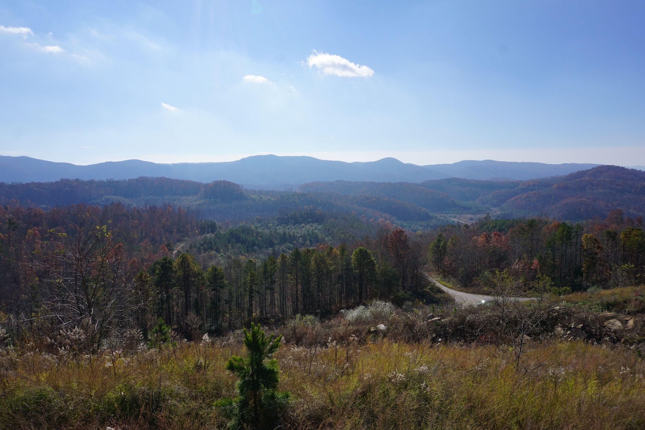 Duff, Campbell County, TN Recreational Property, Timberland Property