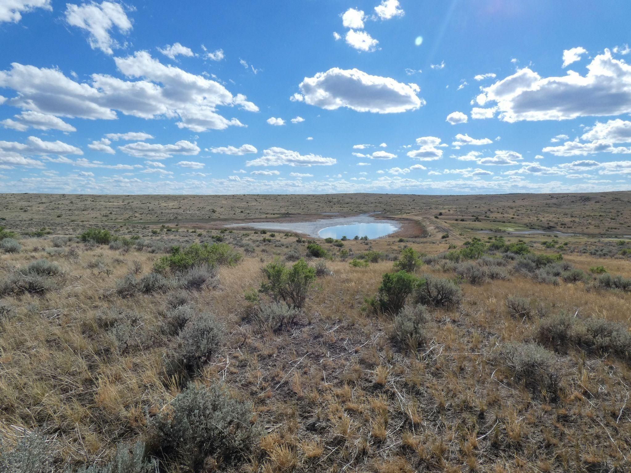 Hysham, Treasure County, MT Farms and Ranches, Hunting Property for