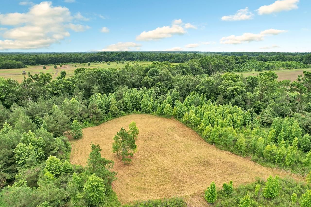 Clayton, Catahoula Parish, LA Recreational Property, Timberland