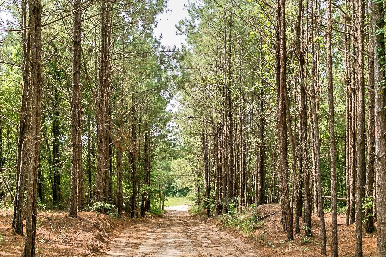 Downsville, Union Parish, LA Recreational Property, Commercial Property