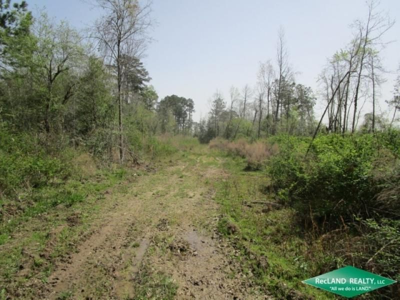 Jasper, Jasper County, TX Recreational Property, Undeveloped Land
