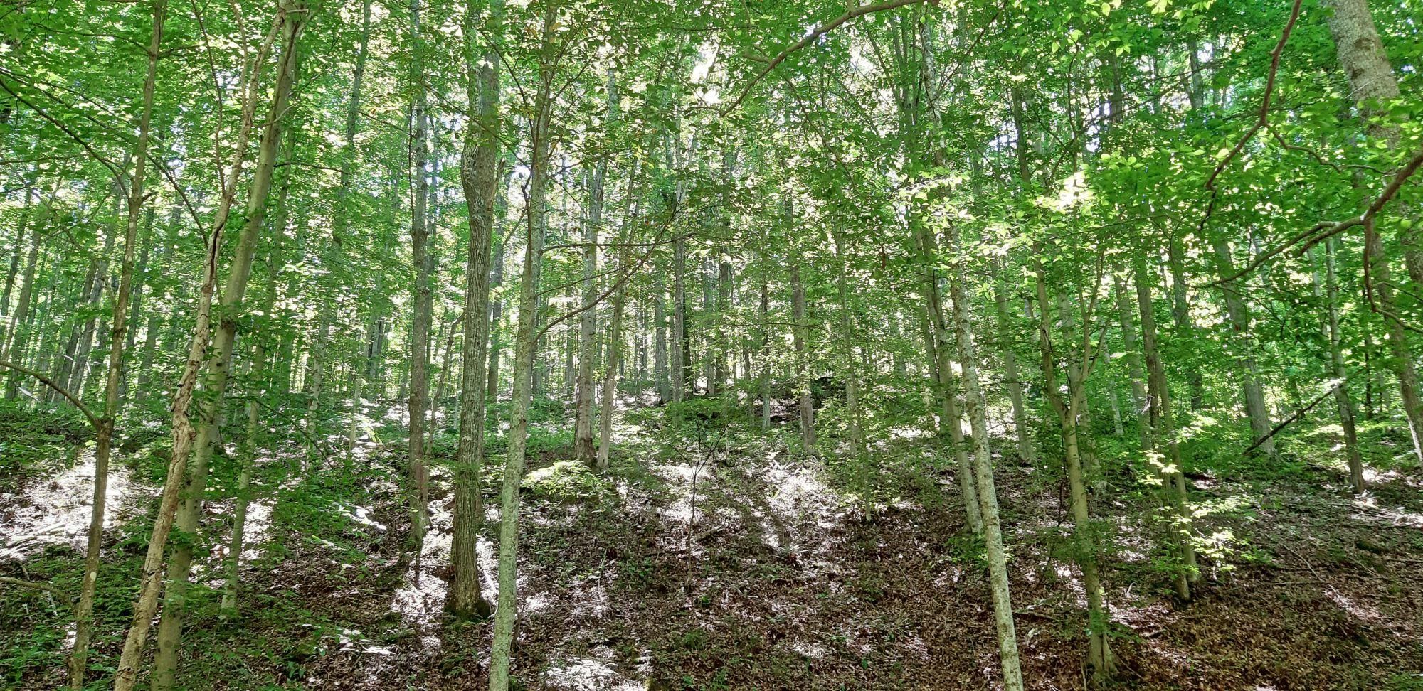 Kenna, Jackson County, WV Recreational Property, Undeveloped Land for