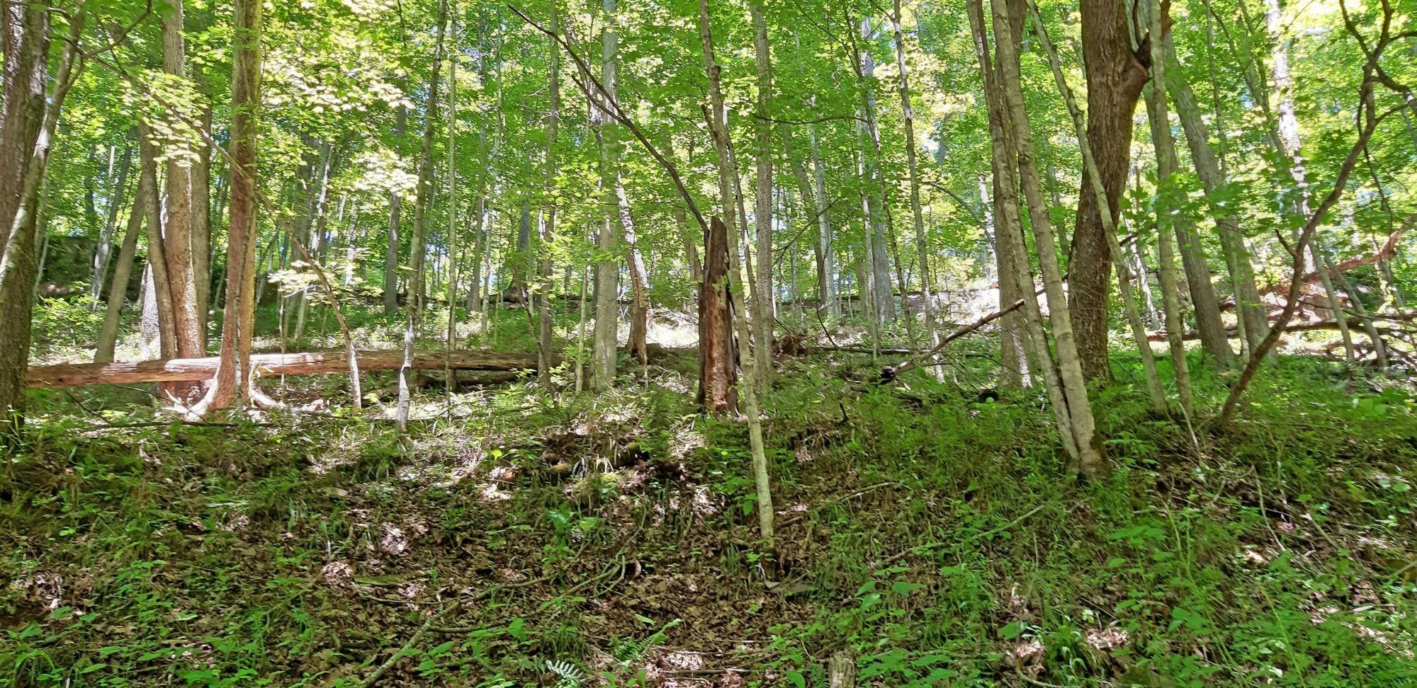 1357 White Oak Rd, Kenna, WV 25248 LandWatch