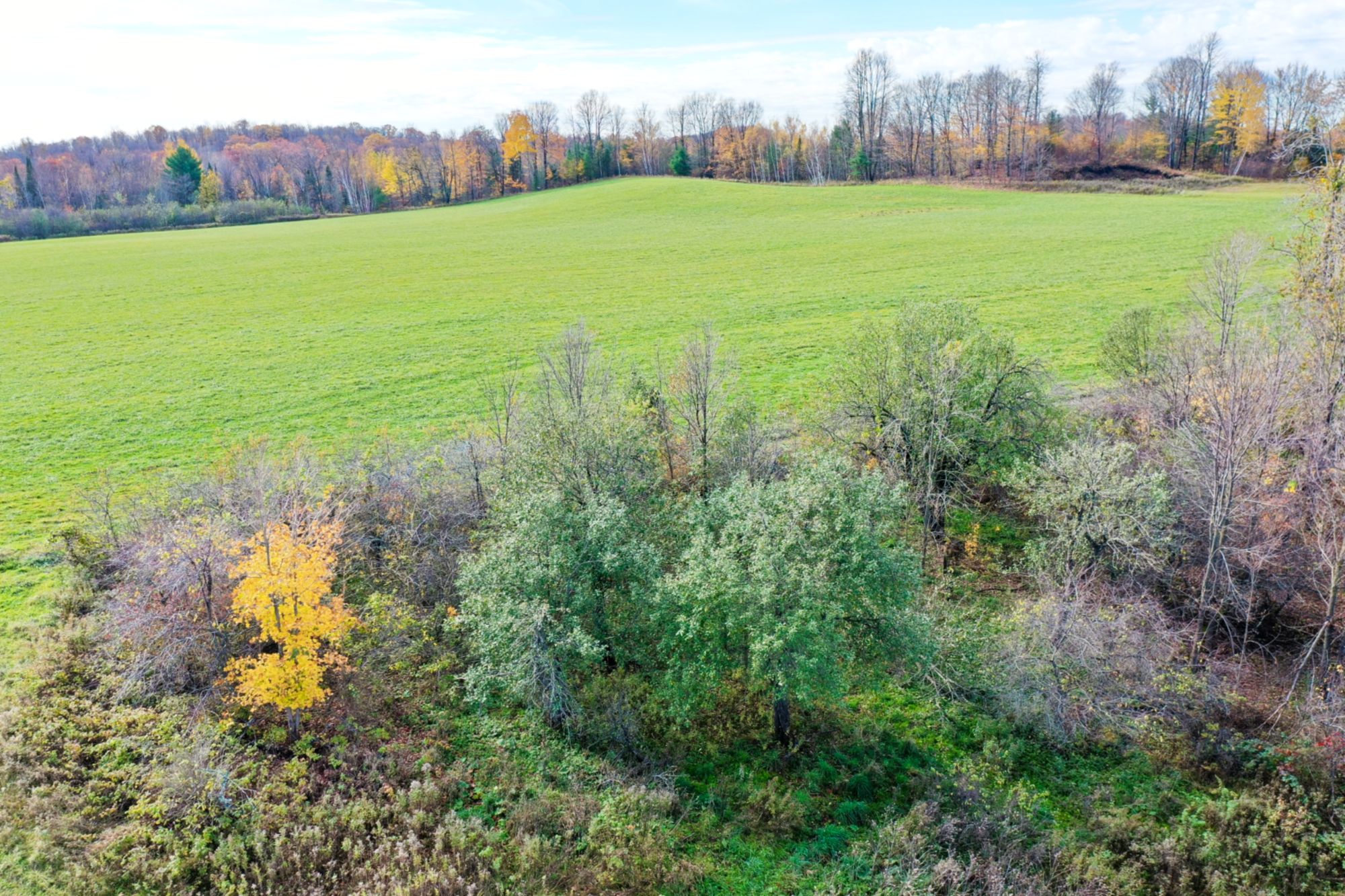 Westboro, Taylor County, WI Recreational Property, Hunting Property for