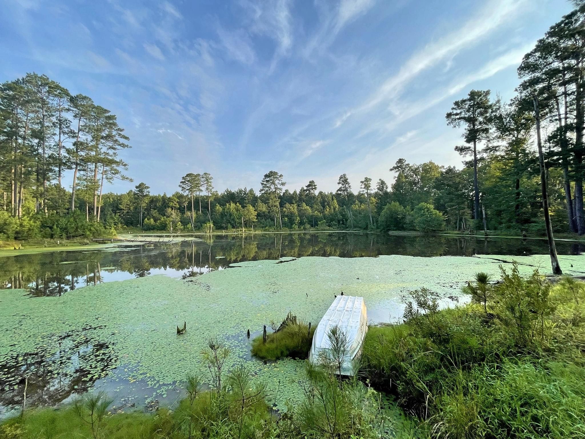 Huttig, Union County, AR Recreational Property, Timberland Property