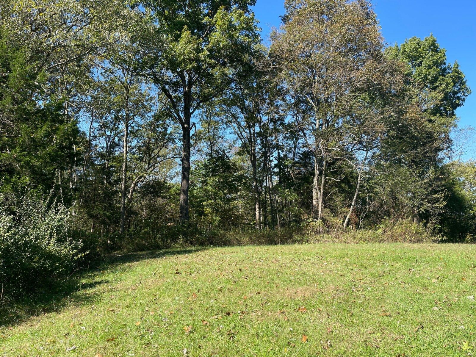 Bagdad, Shelby County, KY Recreational Property, Undeveloped Land for