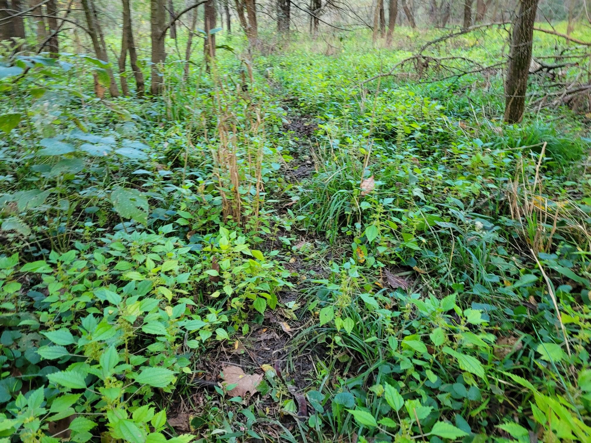Troy, Lincoln County, MO Recreational Property, Undeveloped Land
