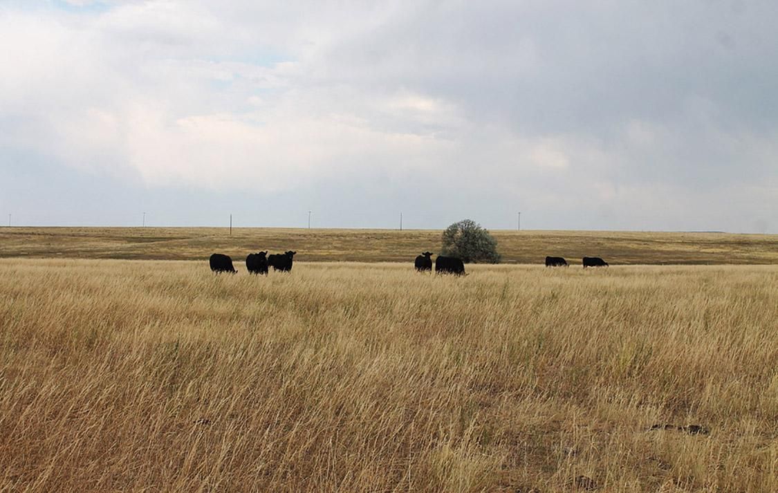 Wheatland, Platte County, WY Farms and Ranches, Recreational Property