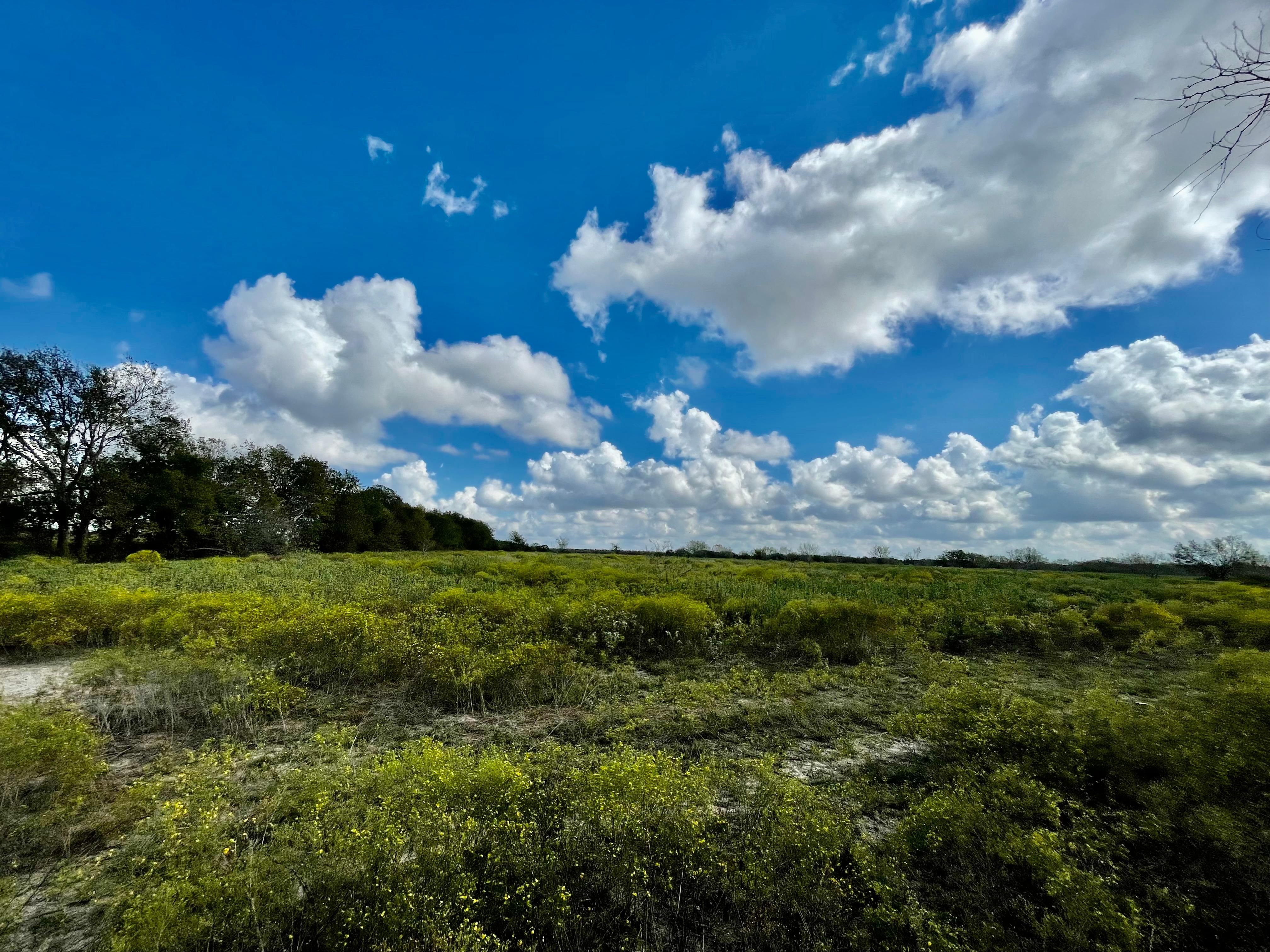 Mart, Limestone County, TX Recreational Property, Horse Property for