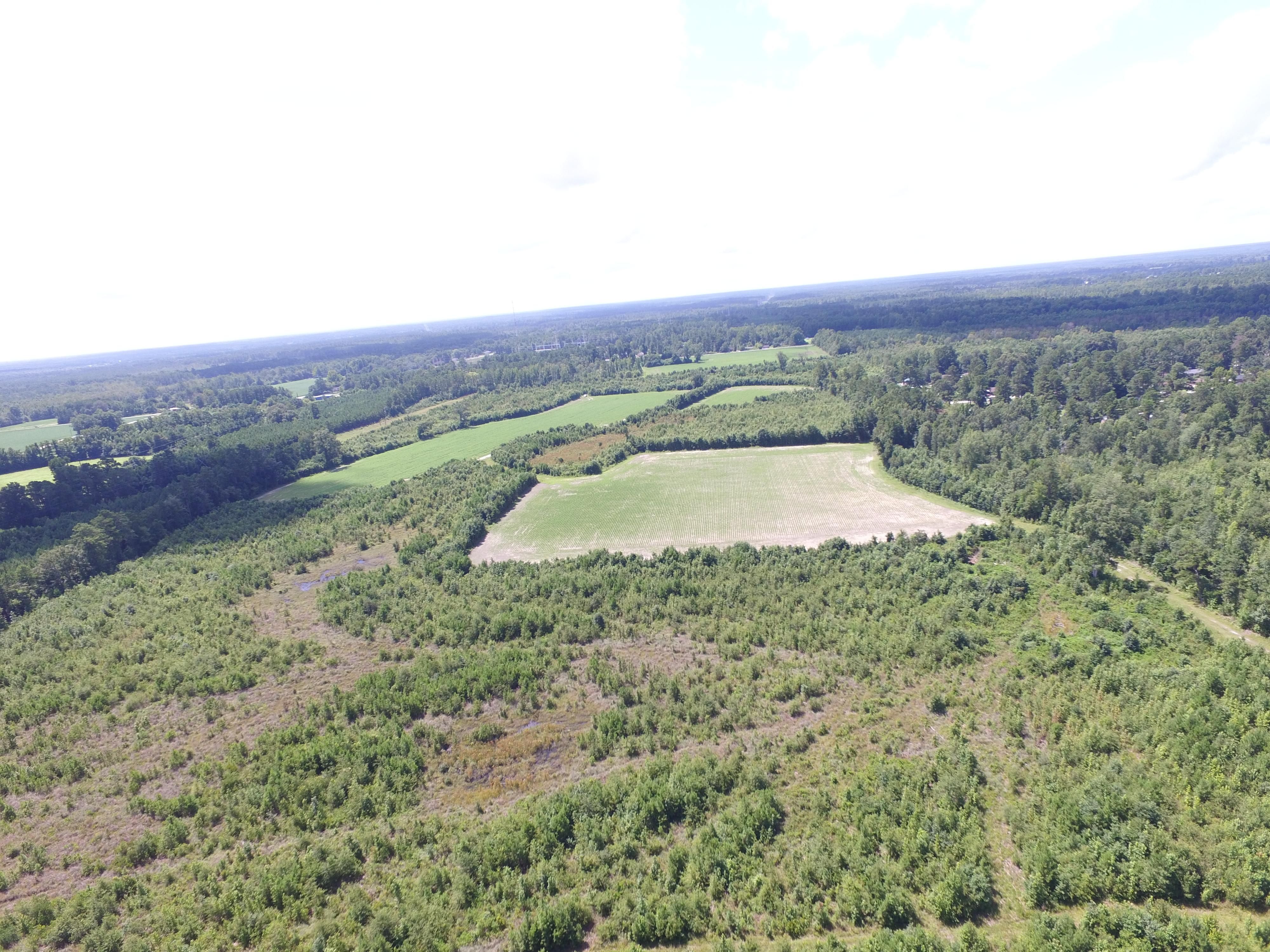 Kingstree, Williamsburg County, SC Recreational Property, Timberland Property, Hunting Property