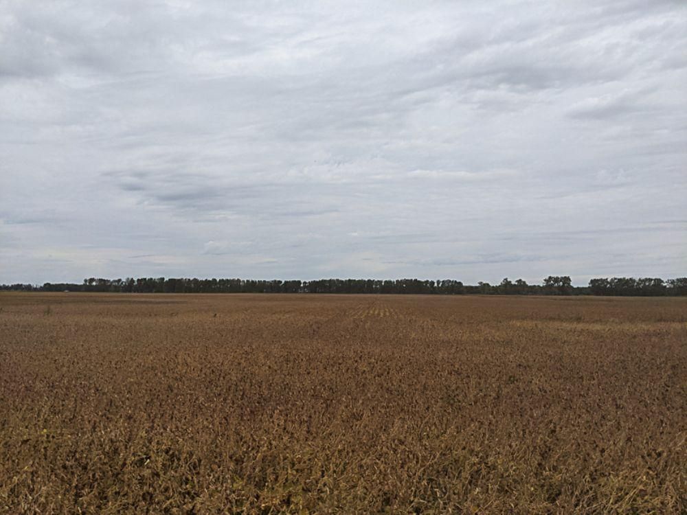 160 acres in Larimore, ND, LandWatch