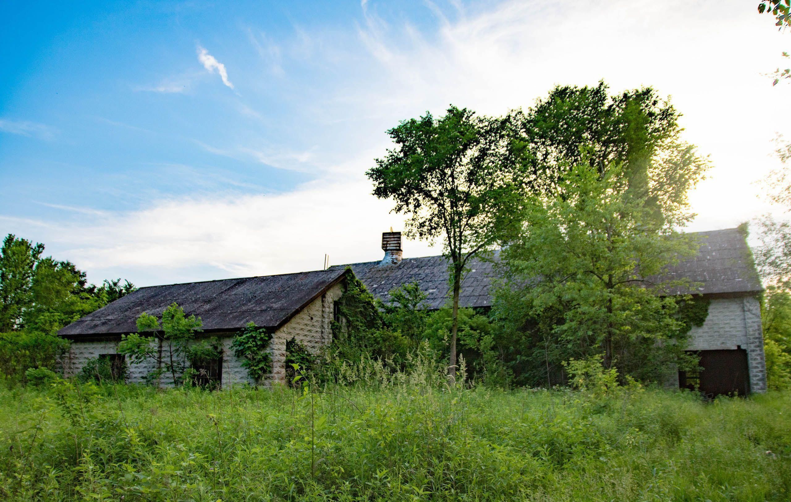 Dahinda, Knox County, IL Farms and Ranches, Commercial Property for