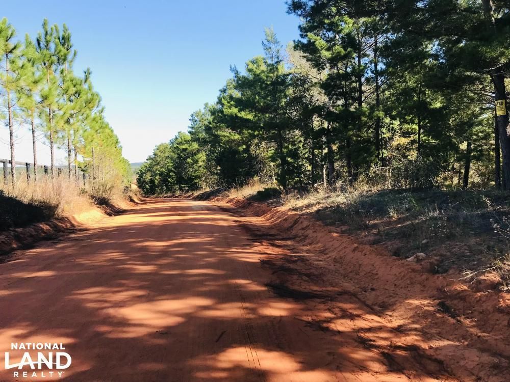 Mauk, Marion County, GA Recreational Property, Timberland Property