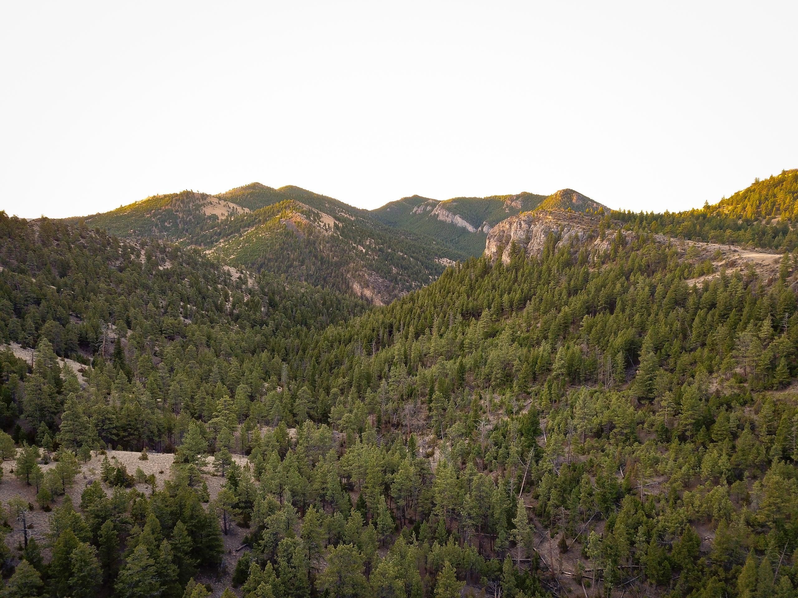 6955 Craigle Lane, Helena, MT 59602 LandWatch