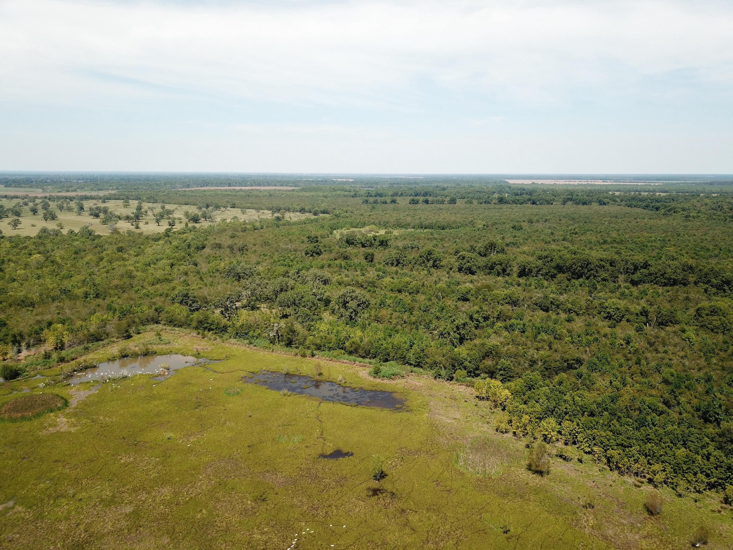 Cloutierville, Natchitoches Parish, LA Farms and Ranches, Recreational