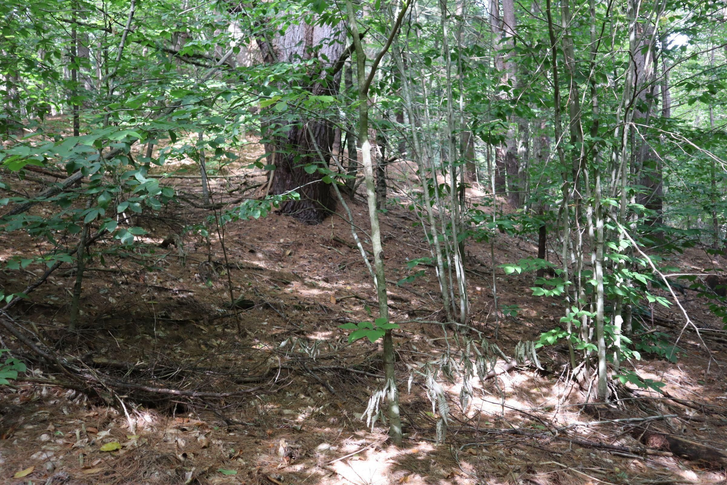 Saratoga Springs, Saratoga County, NY Recreational Property, Timberland