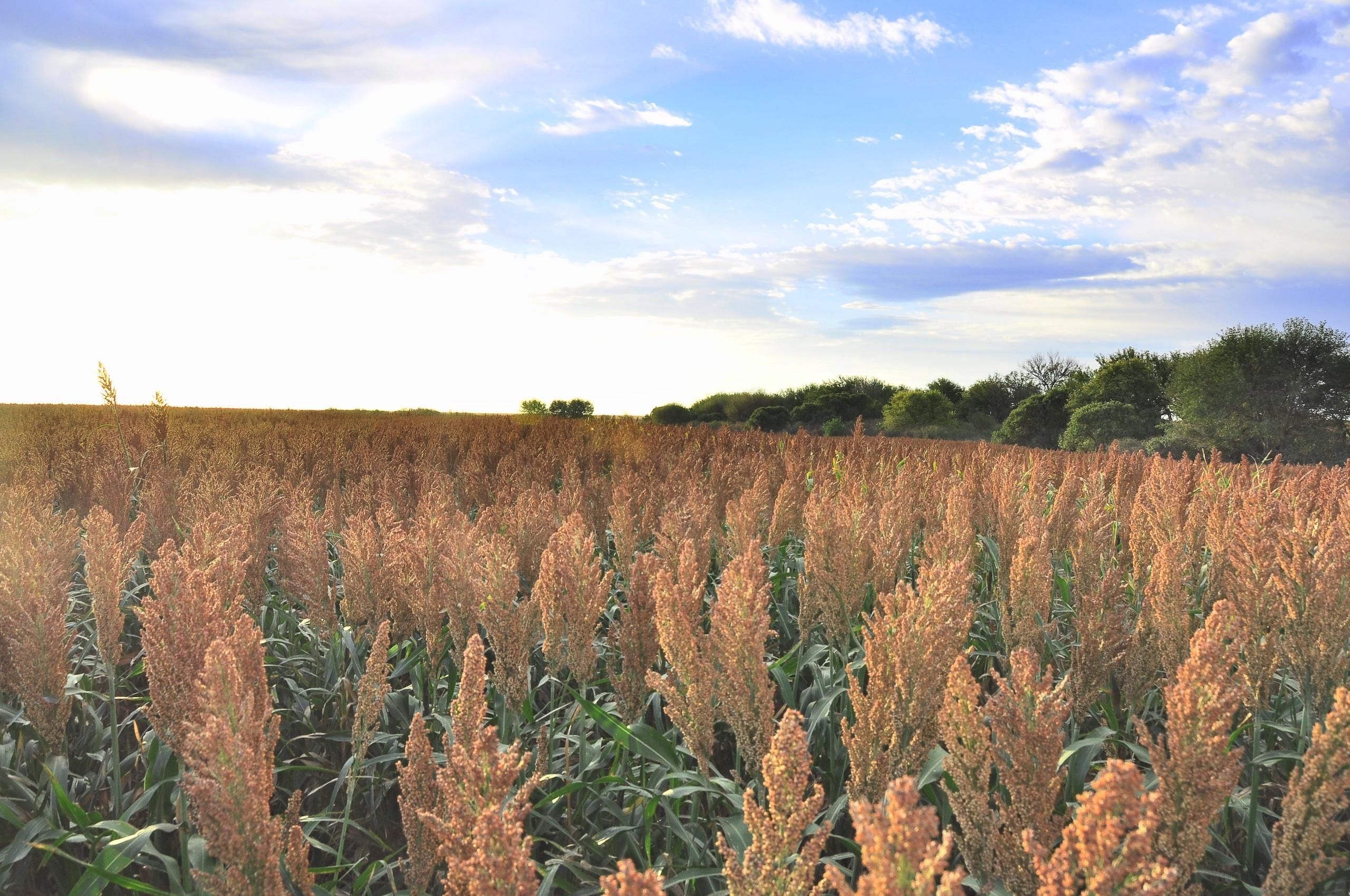 Lenora, Norton County, KS Farms and Ranches, Recreational Property