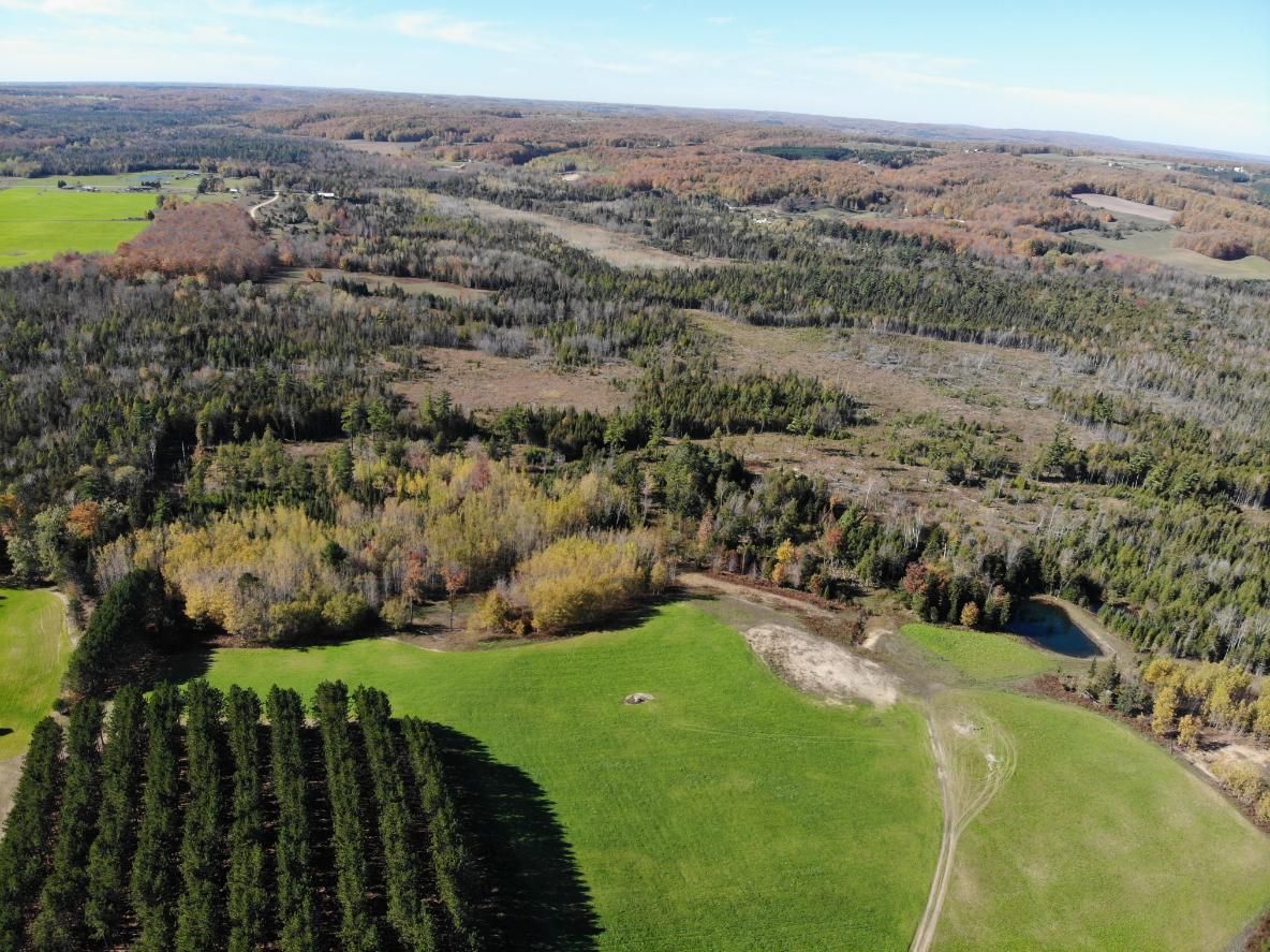 Gaylord, Otsego County, MI Recreational Property, Timberland Property, Hunting Property