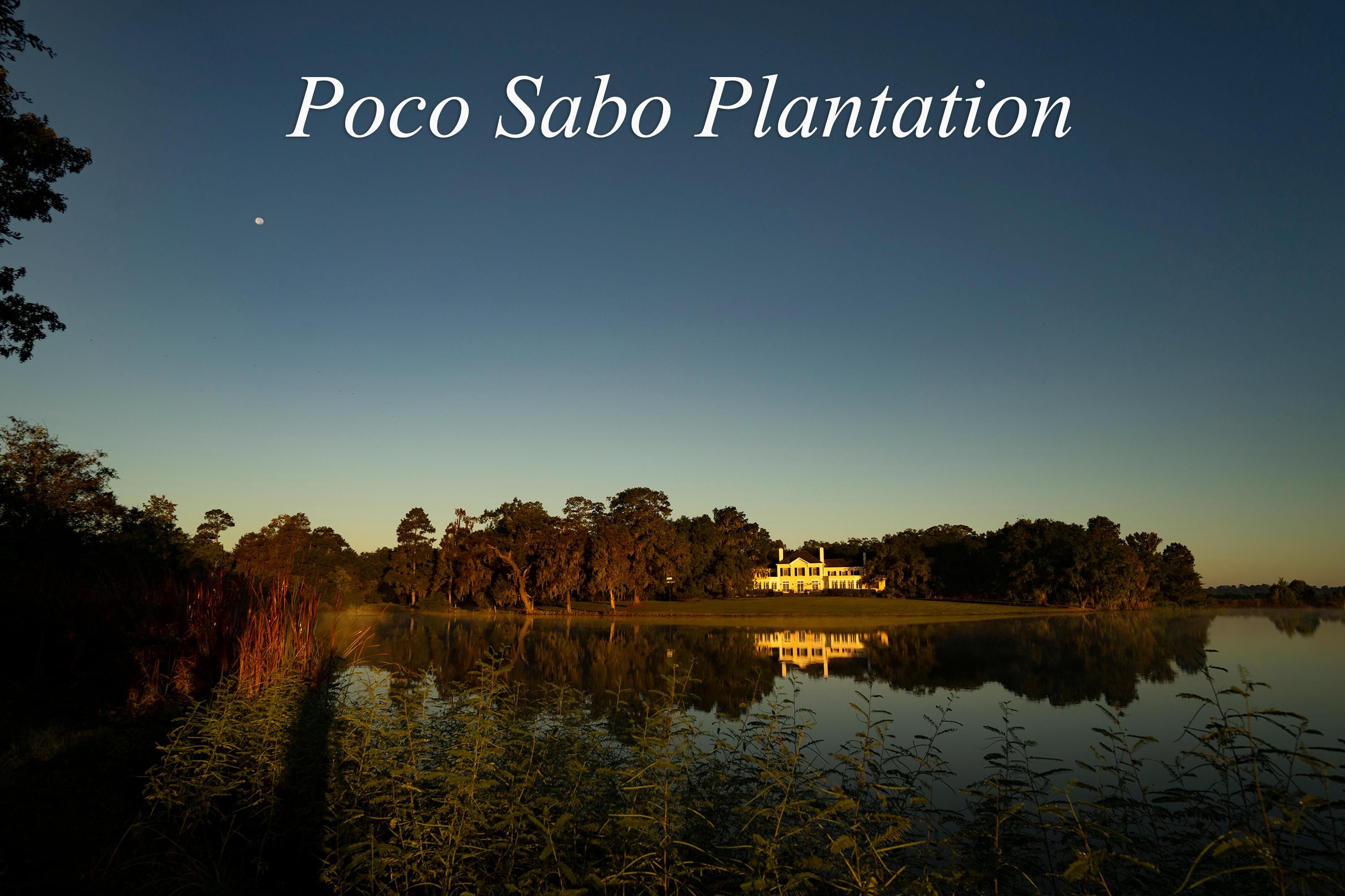 1185 Poco Sabo Lane, Green Pond, SC 29446 LandWatch