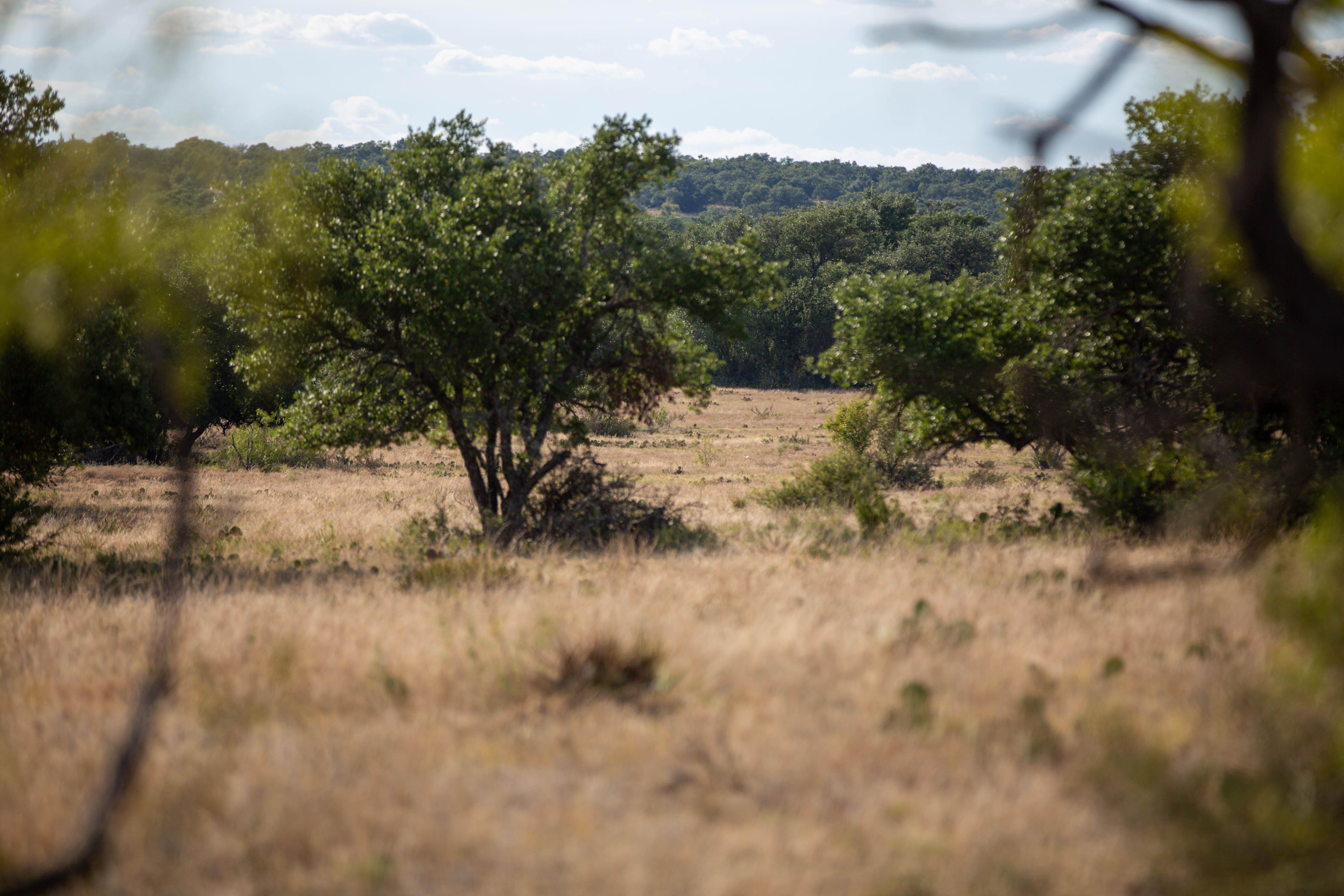 Menard, Menard County, TX Farms and Ranches, Recreational Property