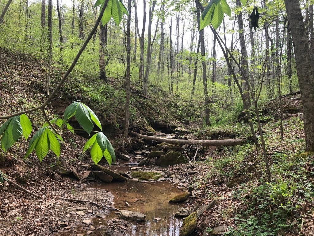 Lowell, Washington County, OH Recreational Property, Timberland