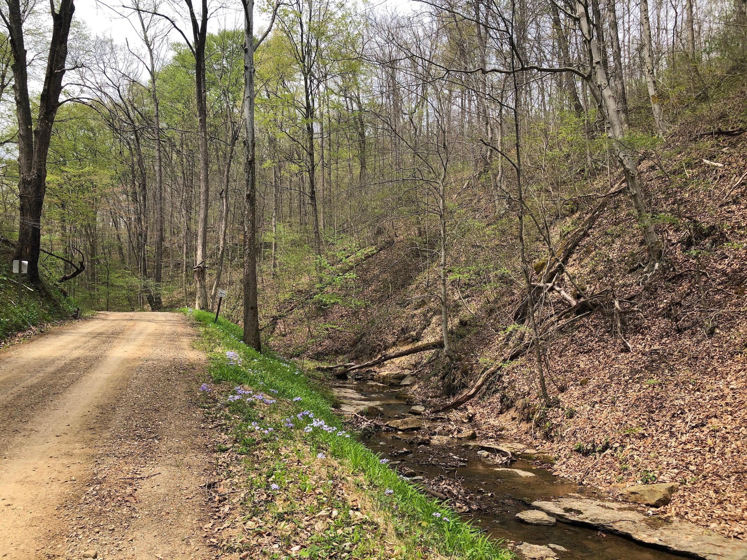 Marietta, Washington County, OH Recreational Property, Timberland