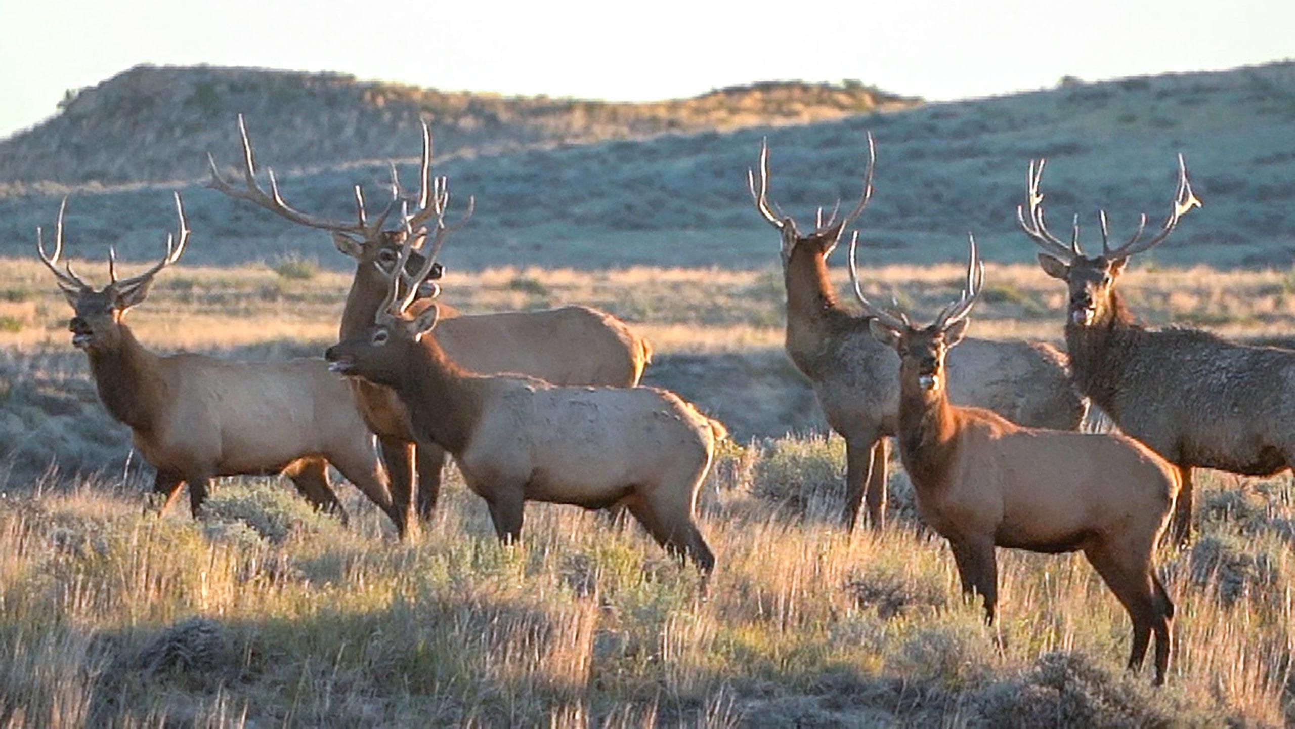 S. Fork Lodgepole Road, Sand Springs, MT 59077 LandWatch