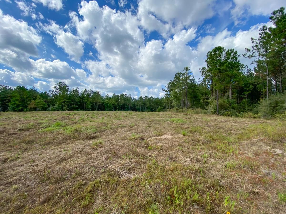 Colmesneil, Tyler County, TX Recreational Property, Undeveloped Land