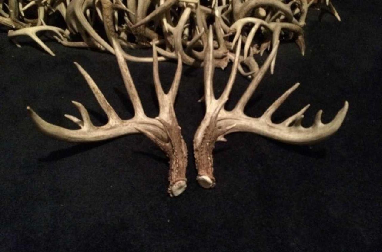 Corning, Atchison County, MO Farms and Ranches, Recreational Property