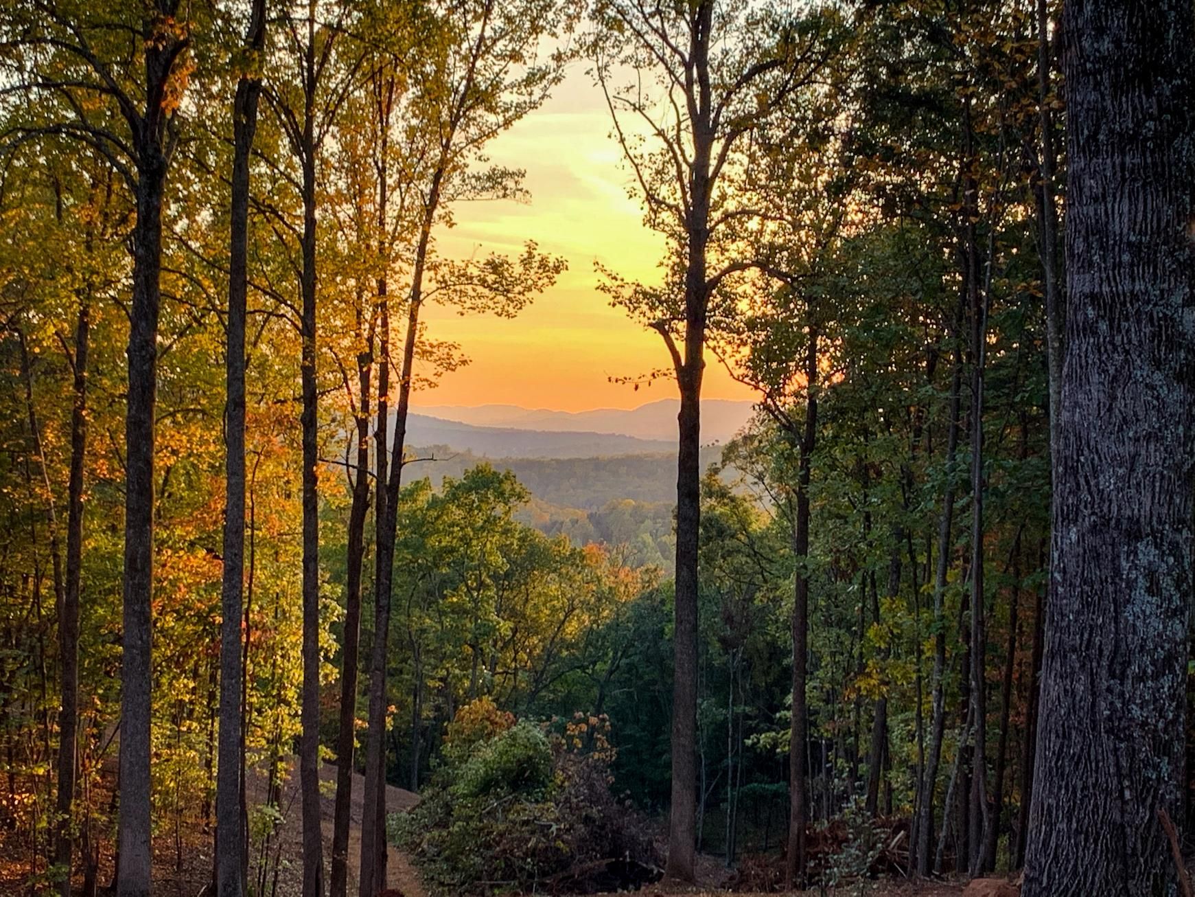 Charlottesville, Albemarle County, VA for sale Property ID 412037229