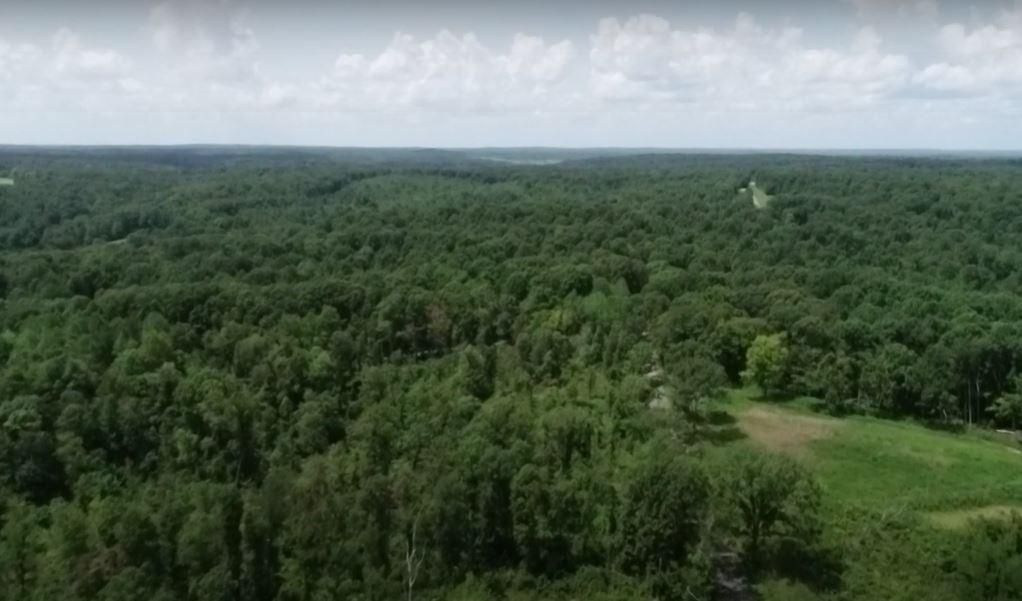 Old State Highway 49th, Erin, TN 37061 MLS Highway 49 Estates