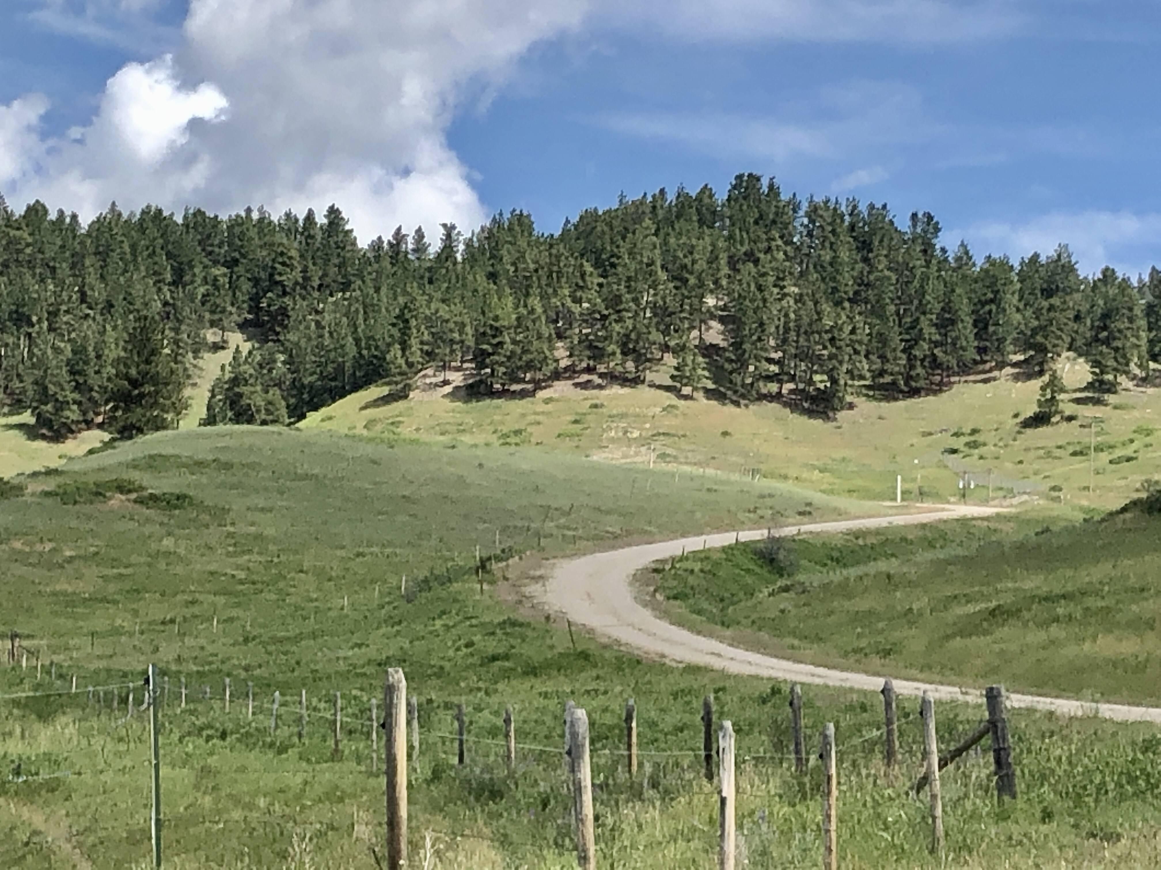 Forest Grove, Fergus County, MT Farms and Ranches, Recreational