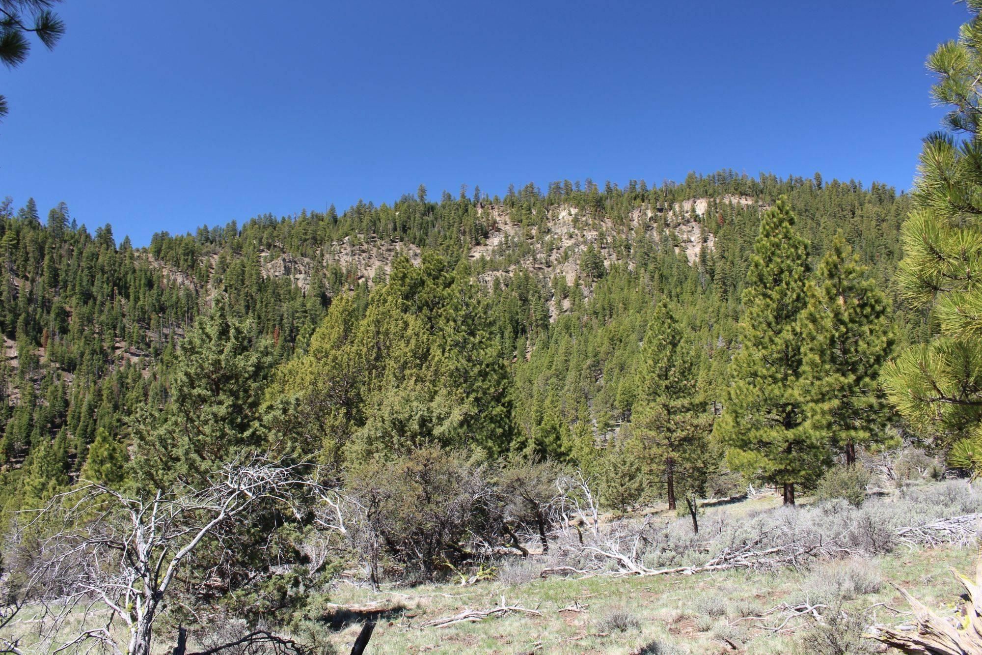 Lakeview, Lake County, OR Recreational Property, Timberland Property