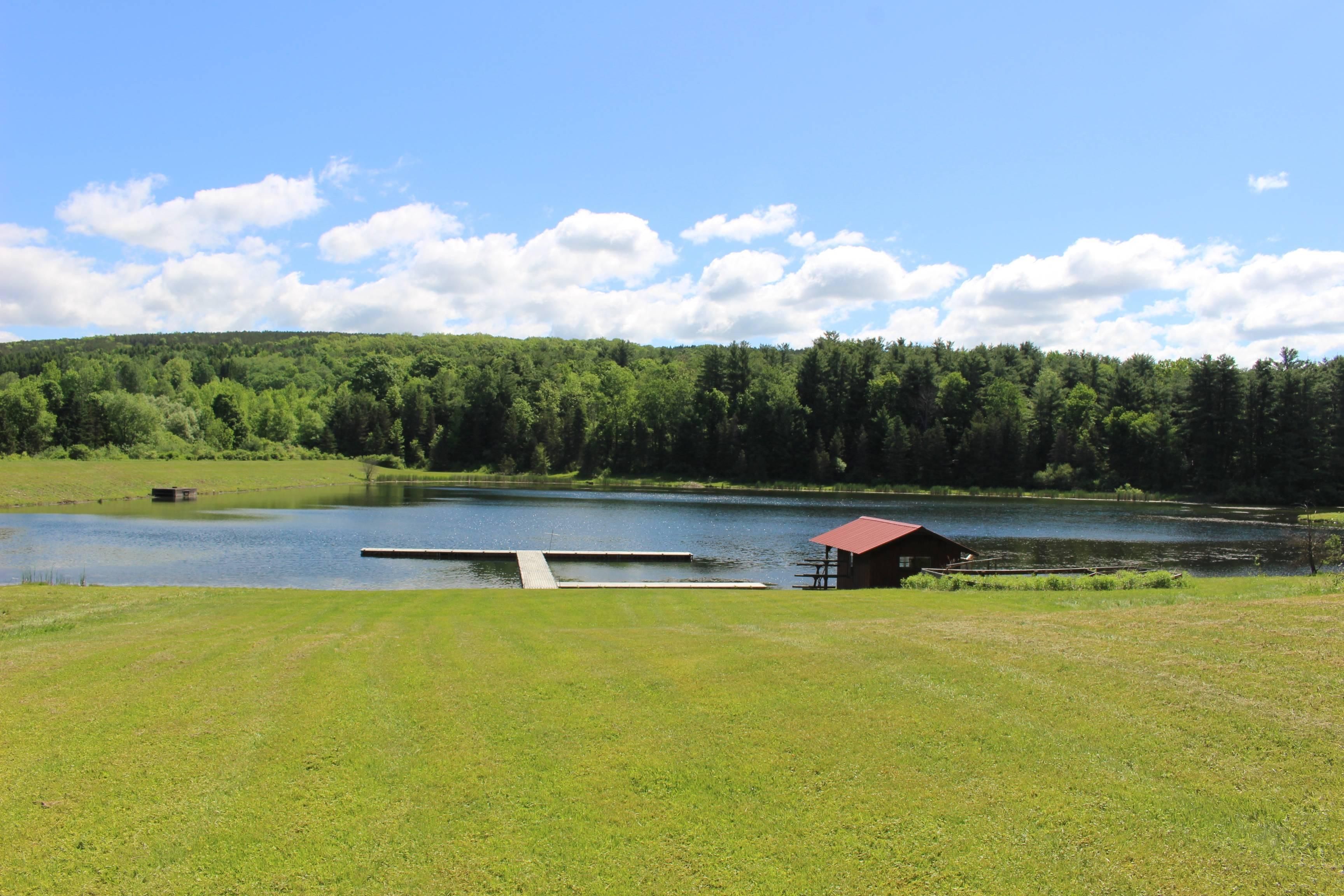 Arkport, Steuben County, NY Recreational Property, Hunting Property