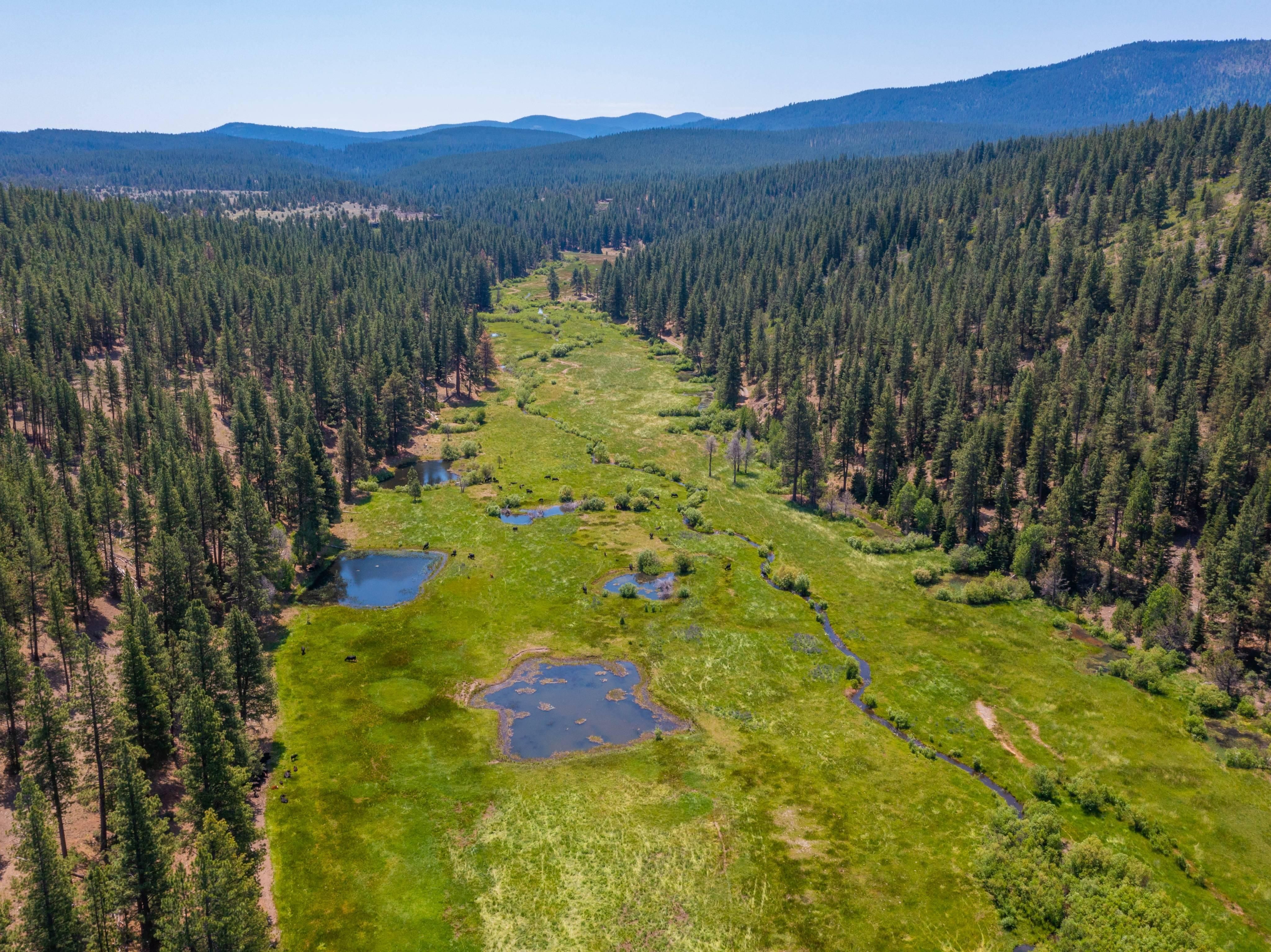 Davis Creek, Modoc County, CA Farms and Ranches, Hunting Property