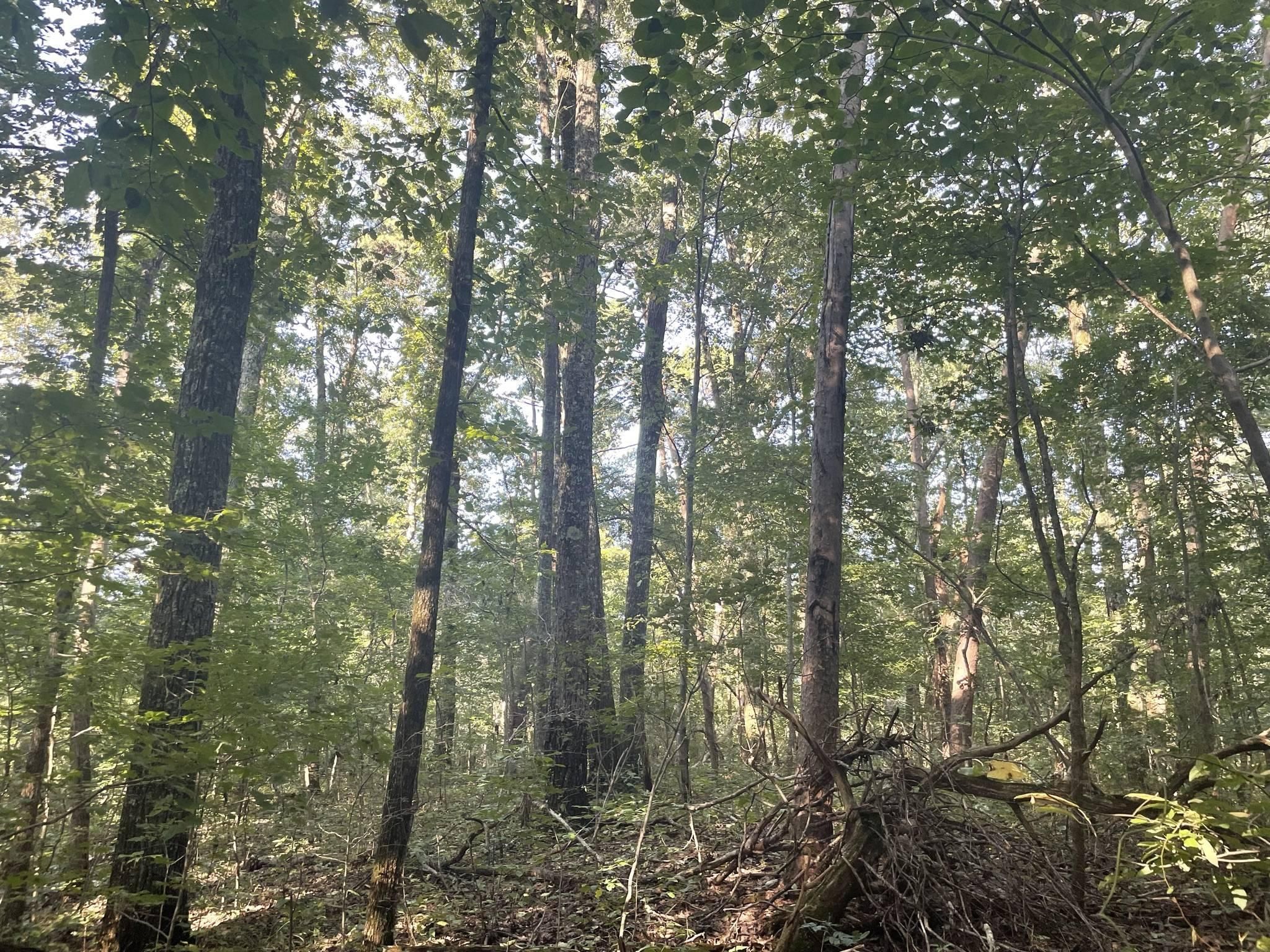 Forestdale, Jefferson County, AL Farms and Ranches, Commercial Property