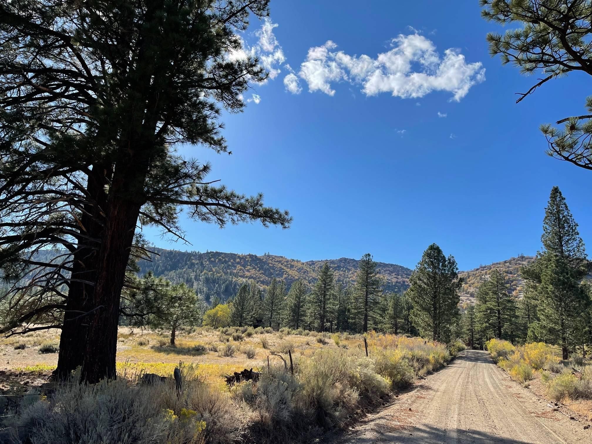 Doyle, Lassen County, CA Farms and Ranches, Recreational Property