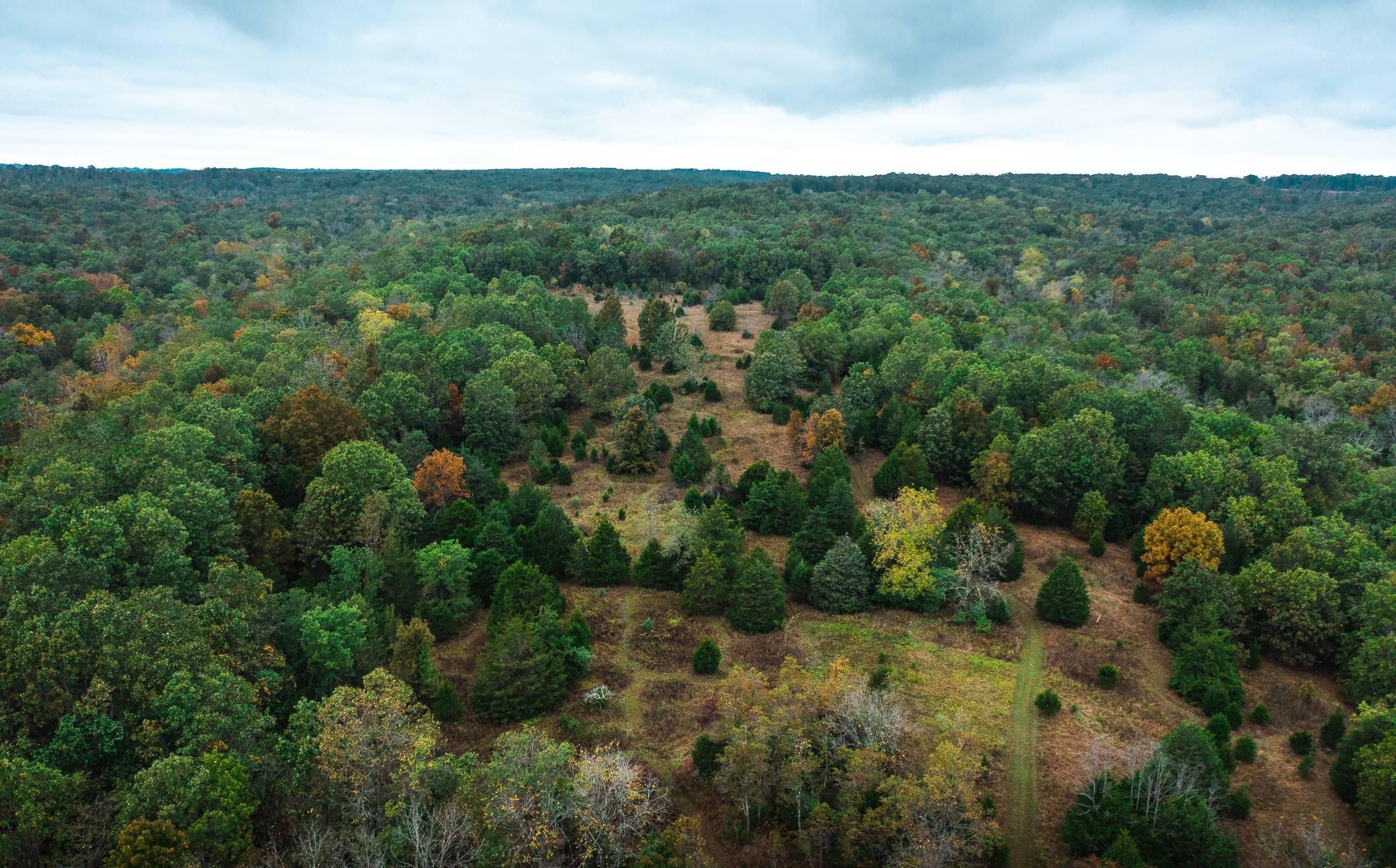 Elk Creek, Texas County, MO Farms and Ranches, Recreational Property
