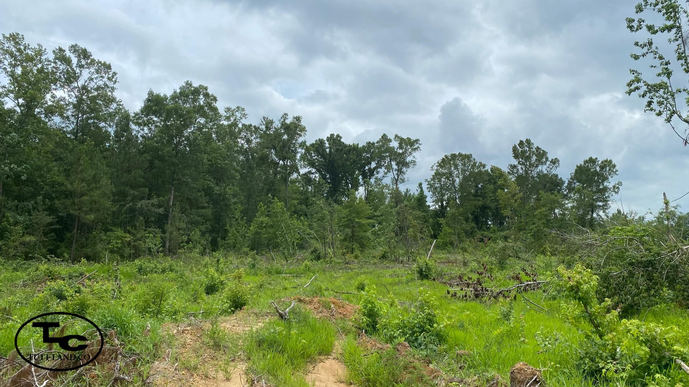 100 acres in Selma, AL, 36701 LandWatch