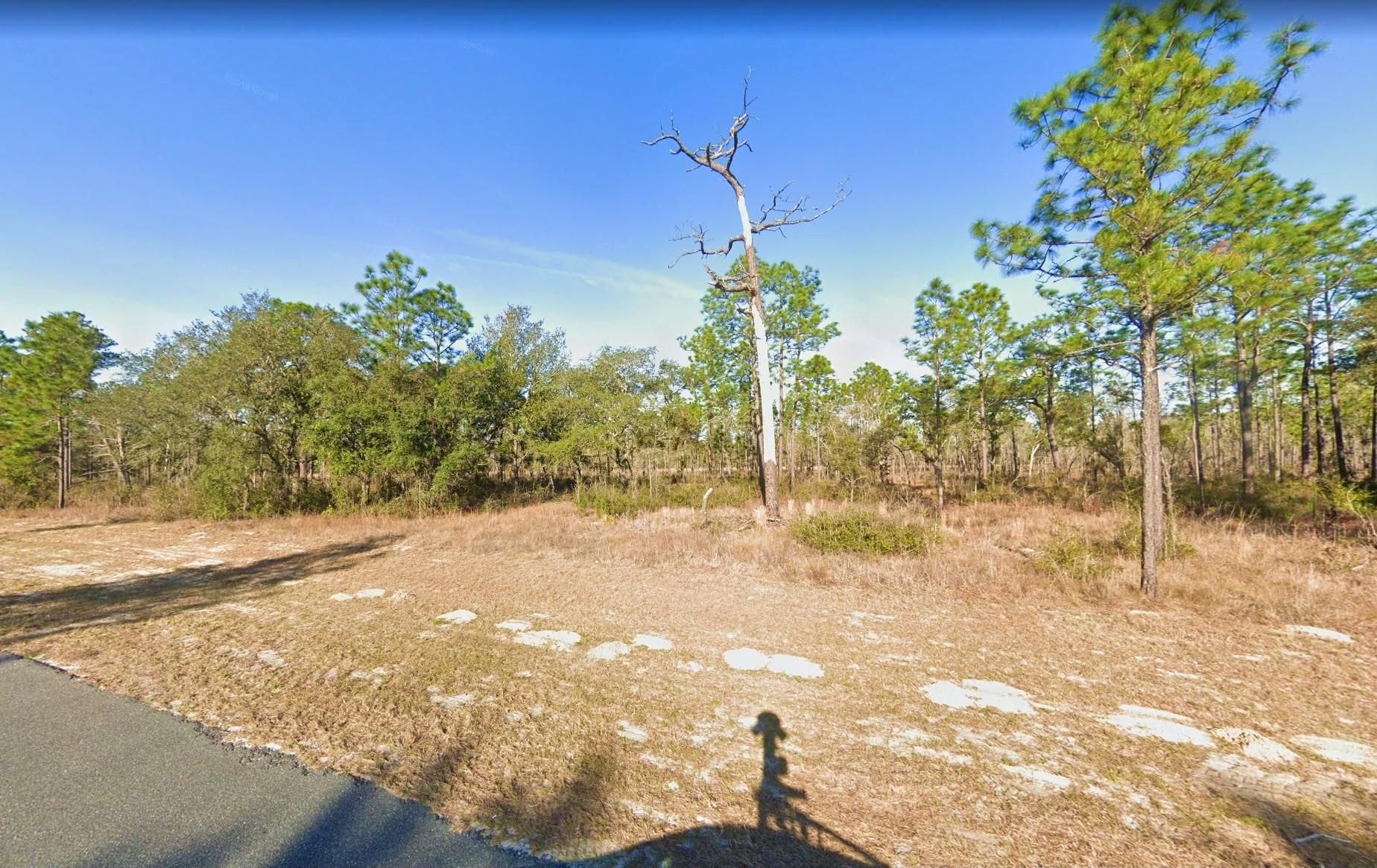 Keystone Heights, Clay County, FL Recreational Property, Undeveloped
