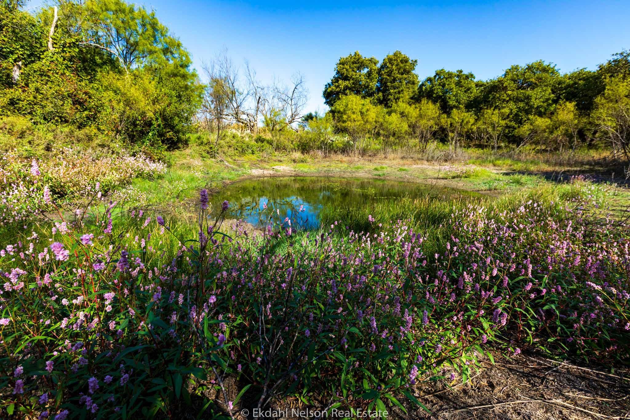 Anson, Jones County, TX Farms and Ranches, Recreational Property for