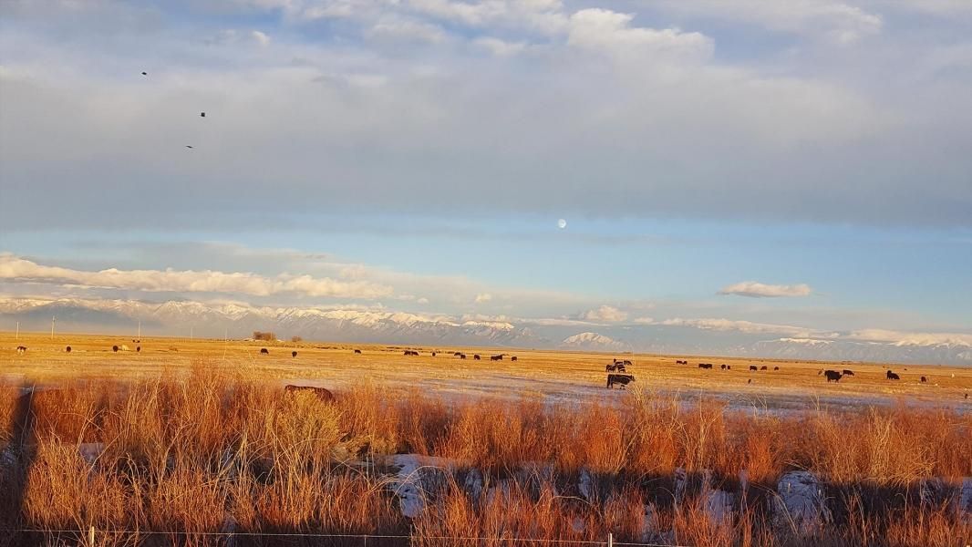 Saguache, Saguache County, CO Farms and Ranches, Undeveloped Land