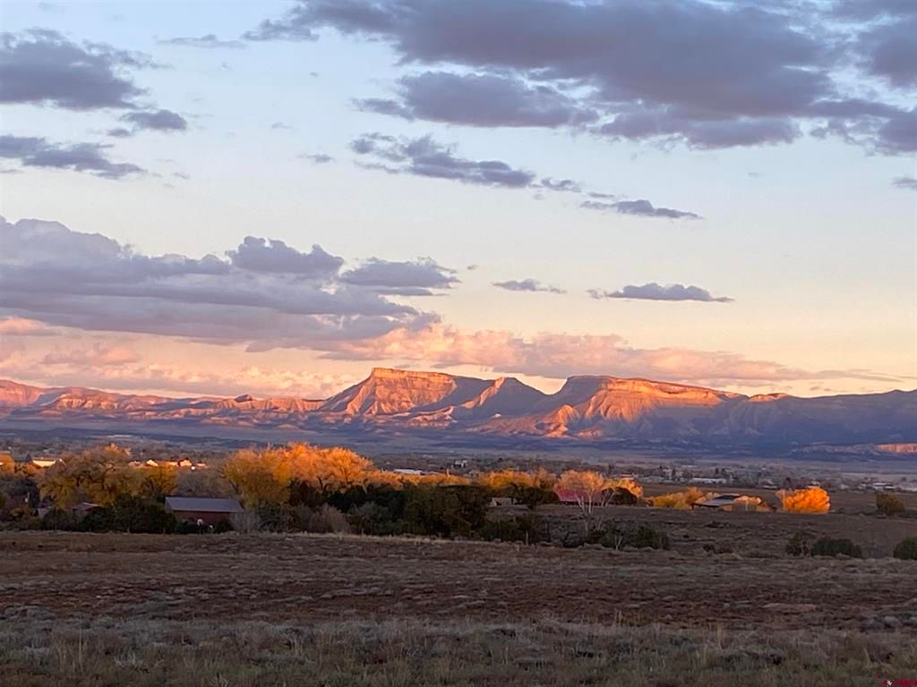 Cortez, Montezuma County, CO Undeveloped Land for sale Property ID