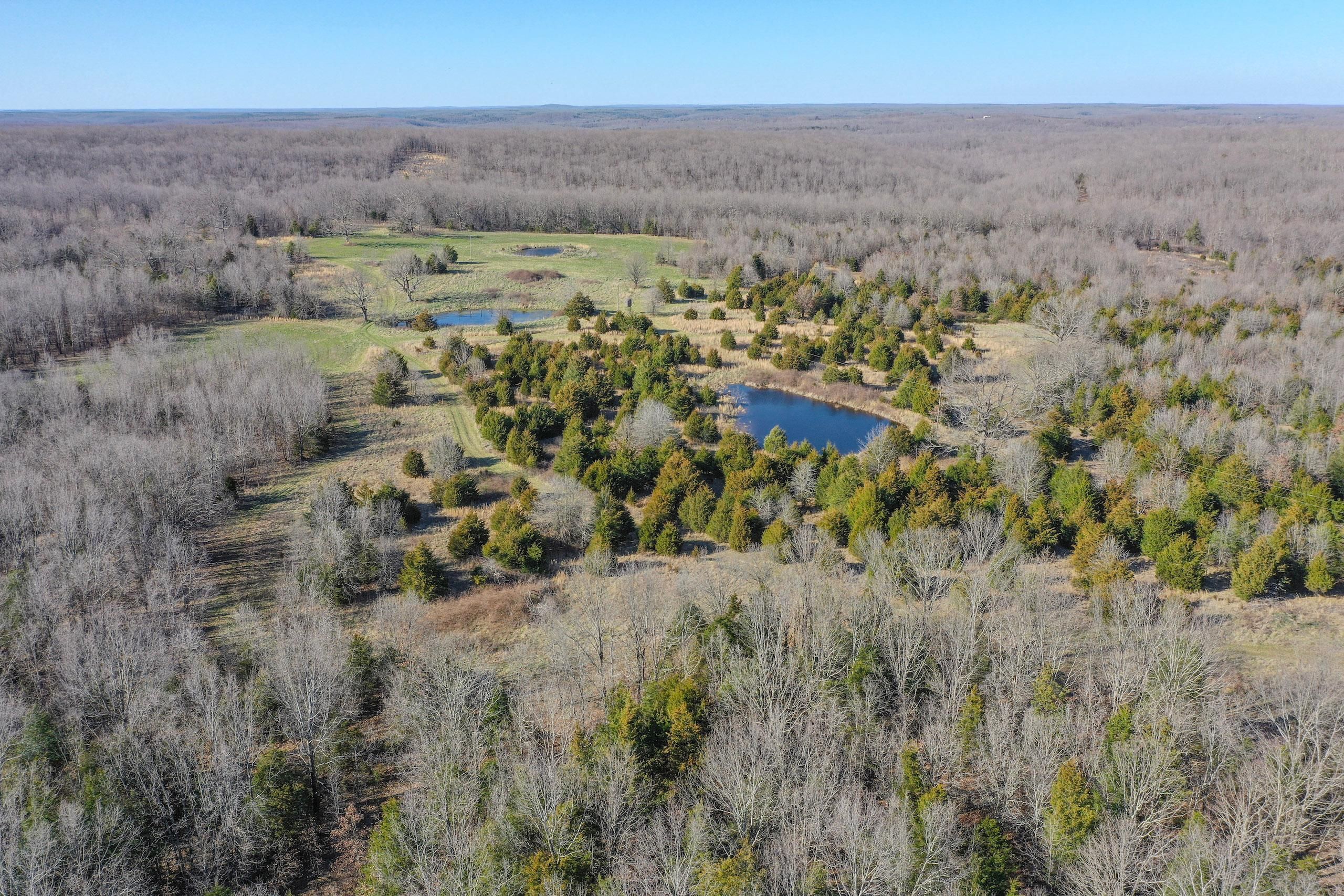 Edgar Springs, Dent County, MO Recreational Property, Timberland