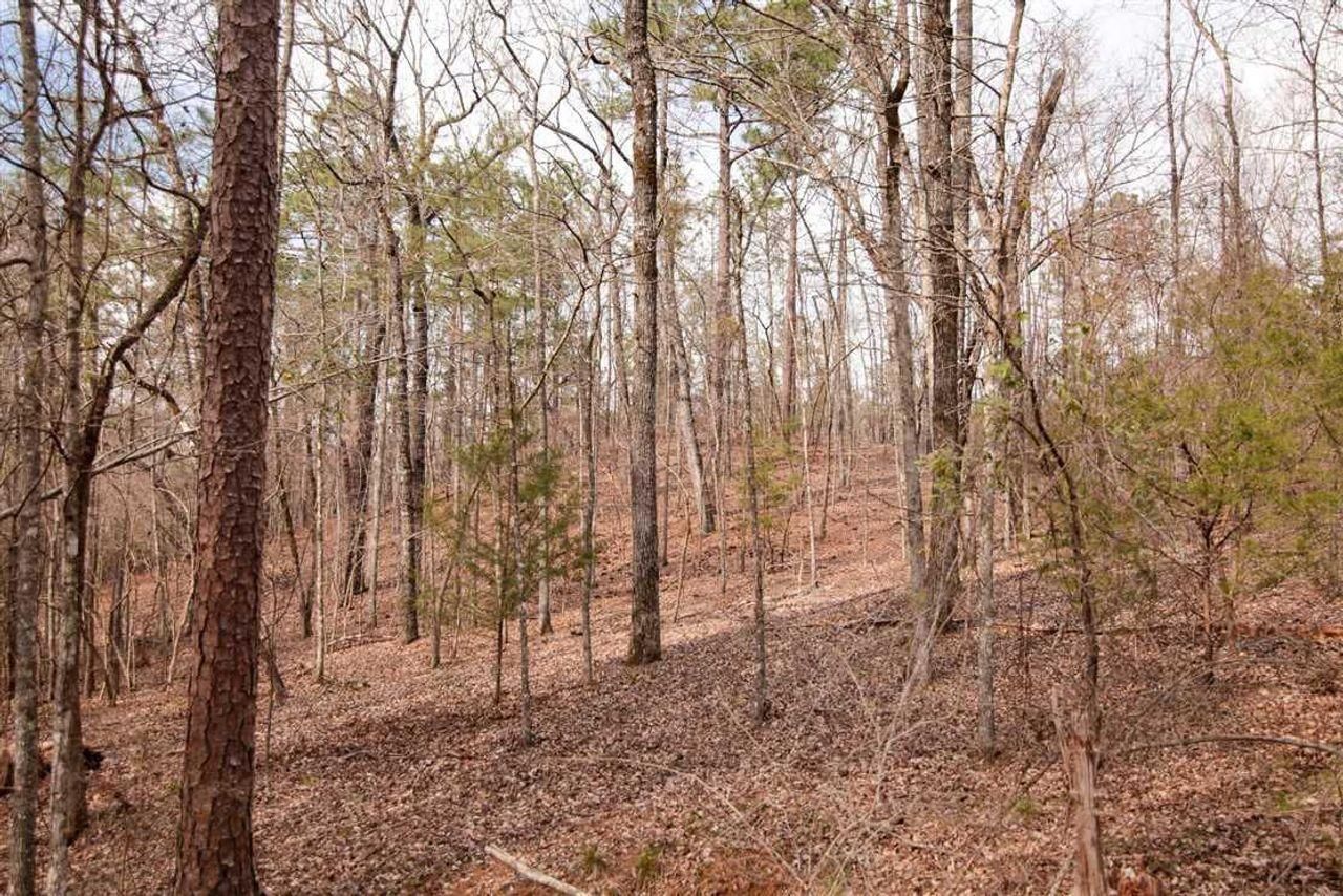 Wetumpka, Elmore County, AL Recreational Property, Timberland Property