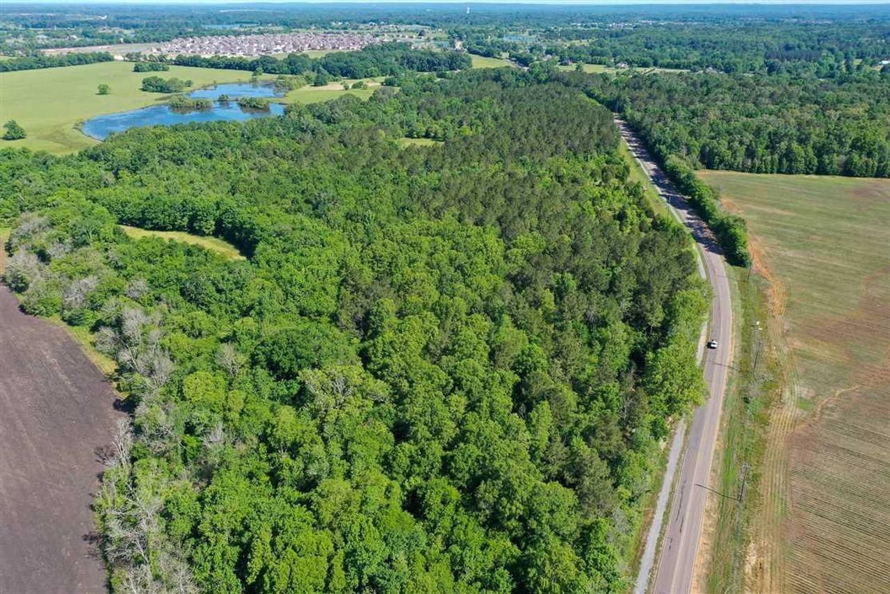 Pike Road, Montgomery County, AL Recreational Property, Timberland
