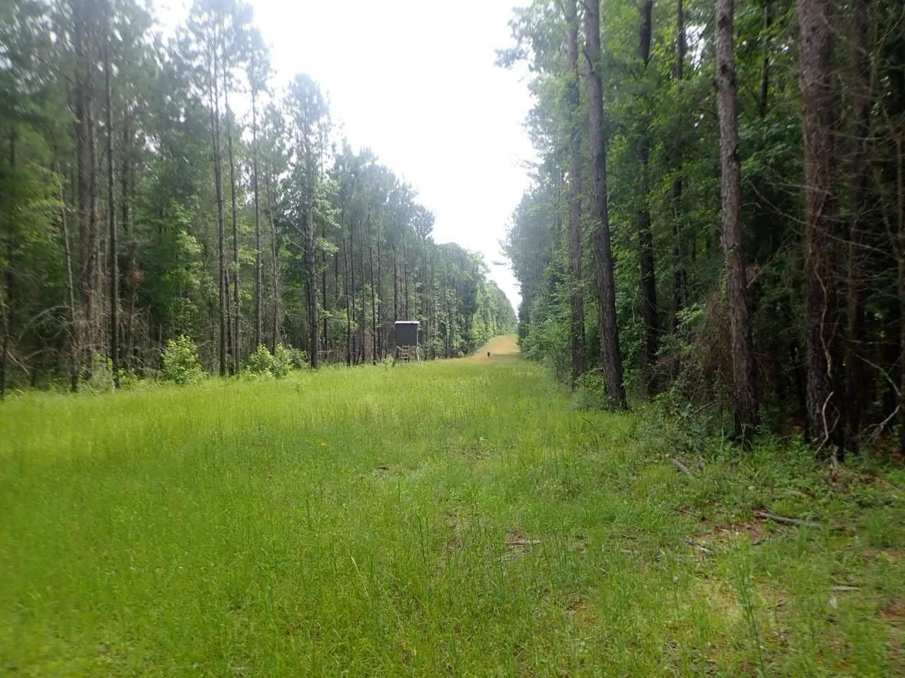 Vossburg, Clarke County, MS Recreational Property, Timberland Property, Hunting Property for